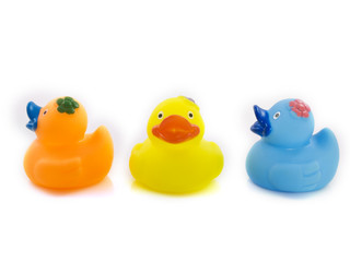 Plastic ducks