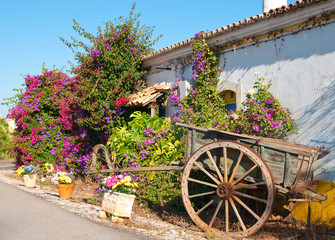Rustic Cart © Springfield Gallery