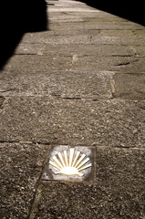 Camino de Santiago