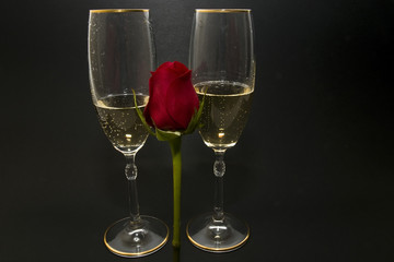 amor 9