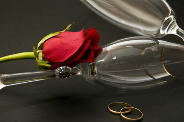 amor 37