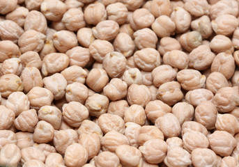 garbanzo