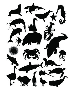 Aquatic Animals Silhouette Collection