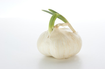 Knoblauchknolle das ideale Gewürz