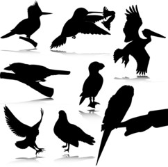 bird black silhouettes