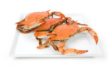 Crab