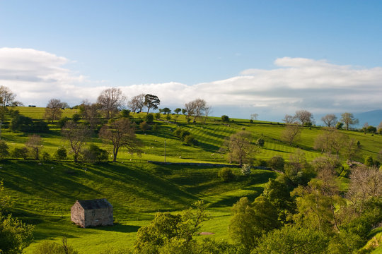 Smardale