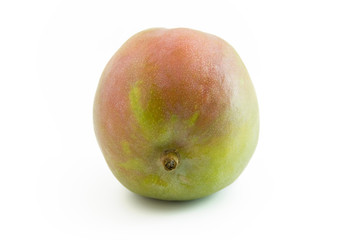 Mango frontal