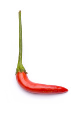 Thai Chilli