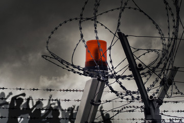 barbed wire