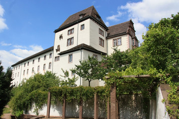 Schloss in Fürstenberg