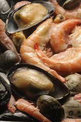 Molluschi e crostacei surgelati