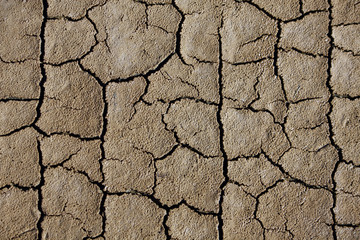 Cracked ground