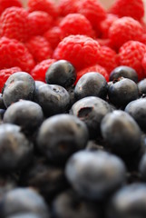 Closeup of blueberries and raspberries