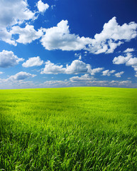 Simple nature