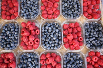 himbeere und heidelbeere / raspberry and blueberry