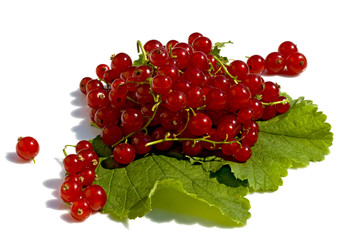 Johannisbeeren
