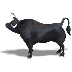 black bull is ready for the fight