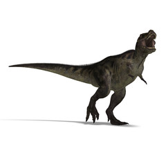 Obraz na płótnie Canvas Tyrannosaurus rex