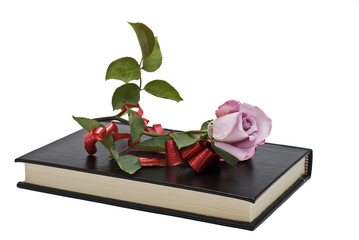 Regalar un libro y una rosa.