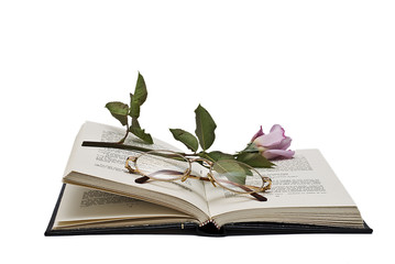 Rosa y gafas sobre libro abierto.