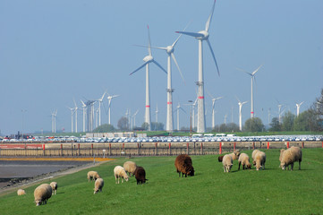 Windkraftanlagen an der küste
