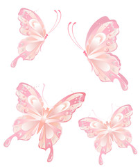 The beautiful butterfly