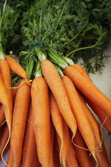 Bottes de carottes au marché