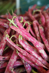 Haricots rouges et longs au marché