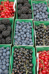 Fruits des bois : cassis, mûres, myrtilles, groseilles #2