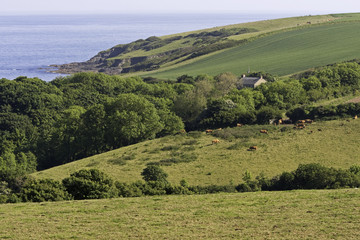 Cornwall countryside
