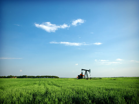 Cereal field and pump-jack