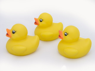 Trio of rubber ducks