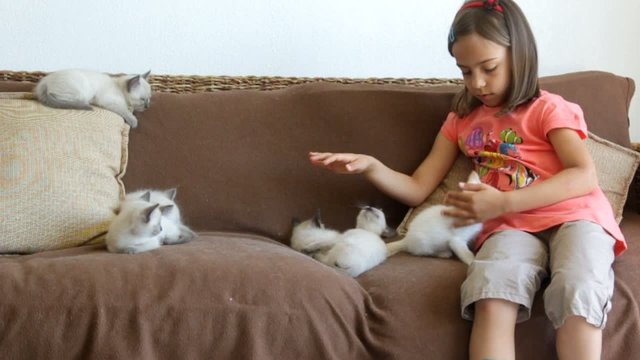 fillette câlinant toute les bébés chats fatigués