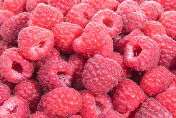 Red raspberry  background