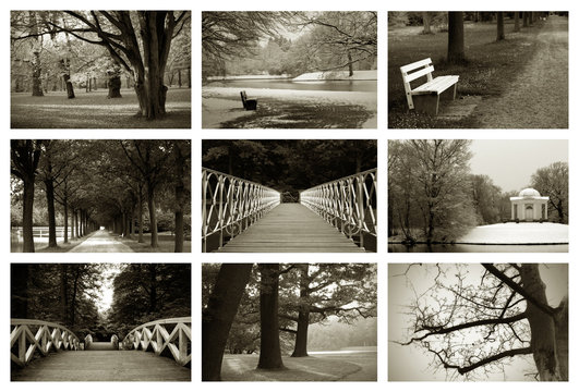 collage sepia