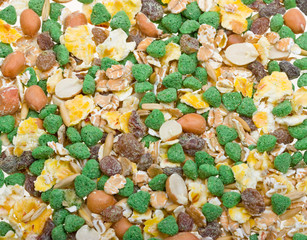 Texture background of mixture of rodent feet