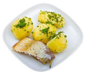 Close-up plate of potato with fish isolated on white
