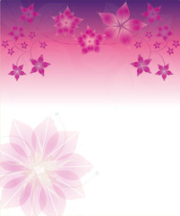 Pink Floral Hintergrund