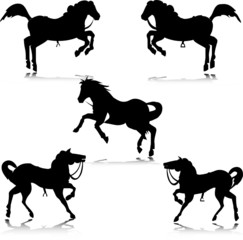 horse in action vector silhouettes