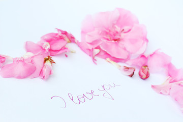 Love card with pink oleander flowers