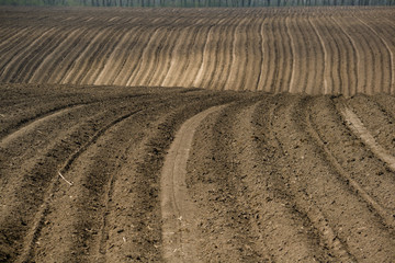 Furrows on cultivated field (brown soil, horizontal view)