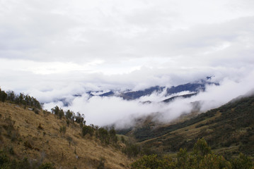 NEBLINA ALTA MONTANA