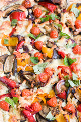 Mediterranean vegetable galette