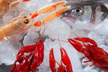 seafood in market over ice
