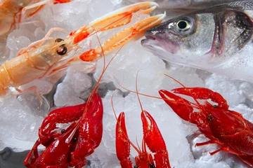 Crédence de cuisine en verre imprimé Crustacés seafood in market over ice