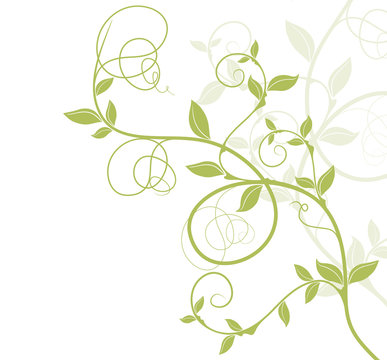 bordure d&eacute;cor vectoriel vert - floral design nature