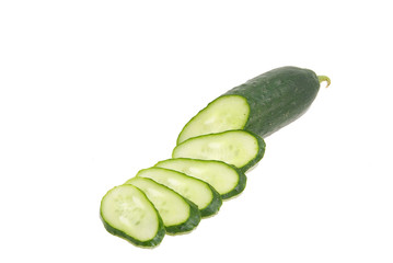 Cucumber