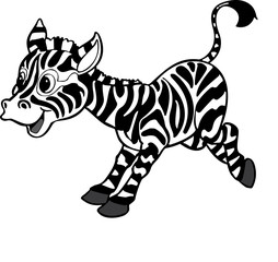 zebra