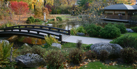 Herbst im japanischen Garten